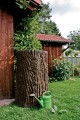 zbiornik-na-deszcz-pien-drzewa-ewevrgreen-oktotechnika-2.jpg