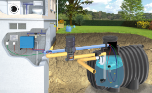 Zestaw z EcoLine II 6000 - PREMIUM domowo-ogrodowy 